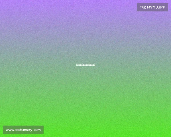 中国的赛车比赛要在哪里看呢