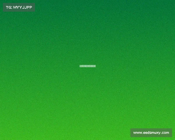 体育赛事的管理主要包括 体育赛事的管理主要包括