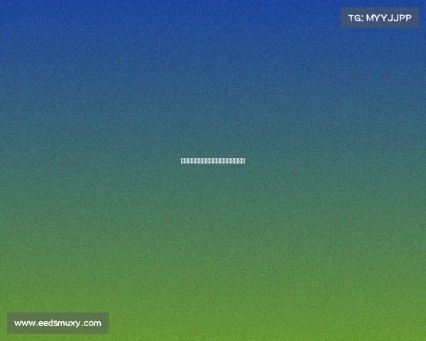 女子体育职业赛事女子体育职业赛事赛程