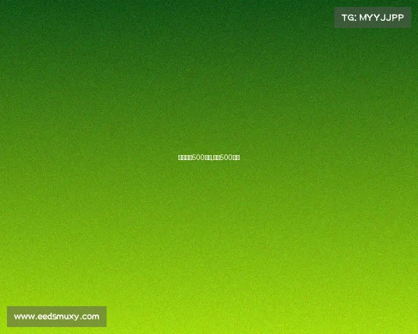 日本印地500赛事,印地500比赛