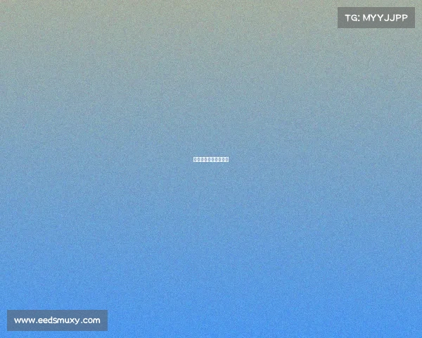 赛事专用训练球有哪些