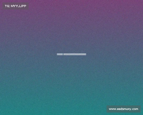 沈阳哥德杯 辽宁赛事—沈阳哥德杯足球公园场地示意图